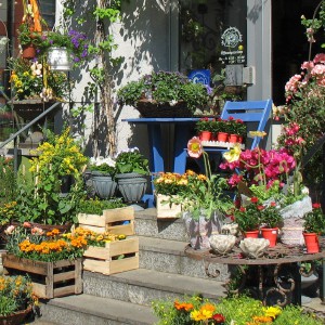 Über uns Blütenzauber Augsburg