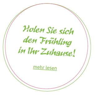 Fruehling Blumen bestellen Augsburg 2026